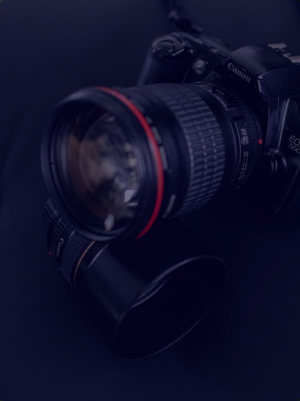 william thomas C8ig94AFBE unsplash candogs.dog